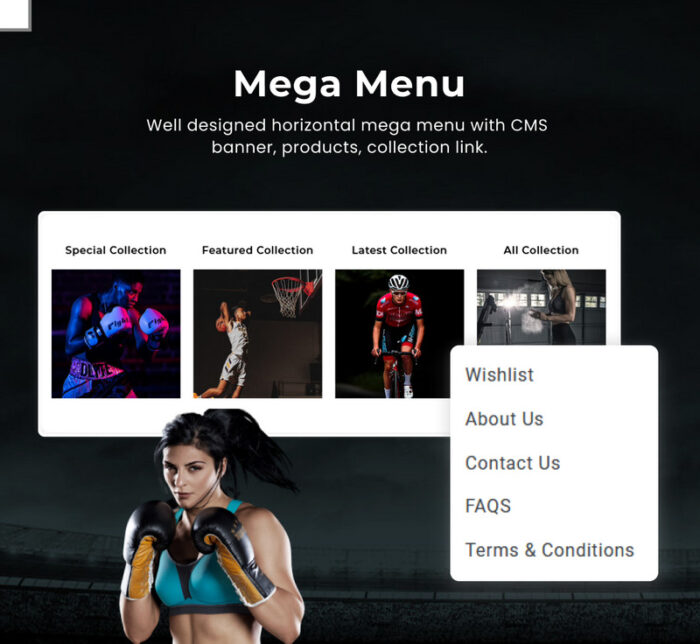 Sport Vibes - Mega Sports Shopify 2.0 Tema Responsif Premium - Fitur Gambar 7