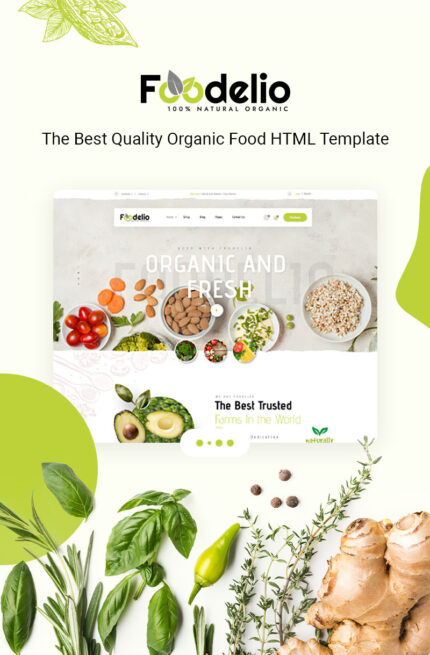 Foodelio - Toko Makanan Organik Nutrisi Bio Food Shop Template HTML Responsif RTL - Fitur Gambar 1