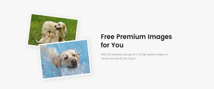 Pusat Pelatihan Anjing - Template Situs Web HTML Modern Responsif Template Anjing - Fitur Gambar 4