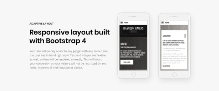 Brandon Mayers - Template Situs Web HTML Responsif Bergaya Penyanyi - Fitur Gambar 7