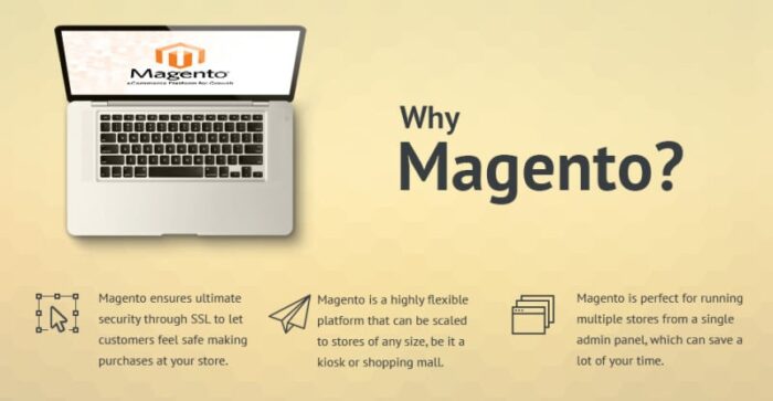 Tema Magento Perhiasan Buatan Tangan - Fitur Gambar 1