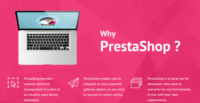 Tema Kamelia PrestaShop - Fitur Gambar 1