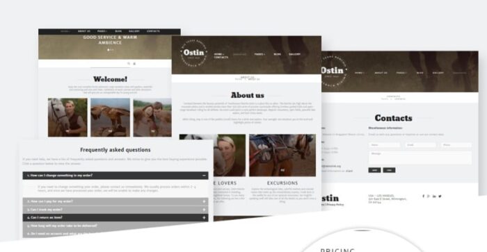 Template Joomla Ostin - Fitur Gambar 12