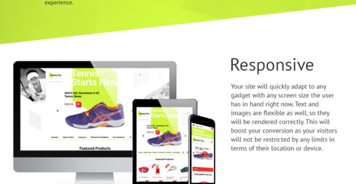 Template OpenCart Tenis Pro - Fitur Gambar 2