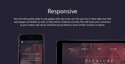 Template Situs Web Responsif Salon Pijat - Fitur Gambar 1