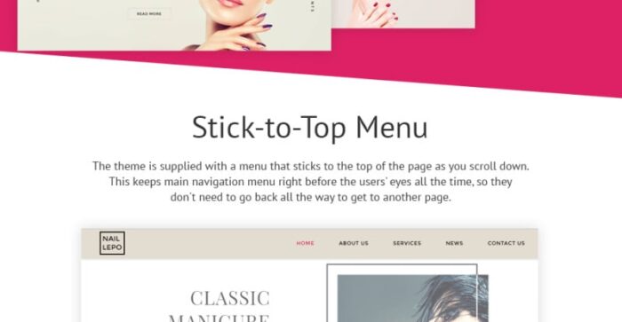 Template Situs Web Nail Lepo - Fitur Gambar 3