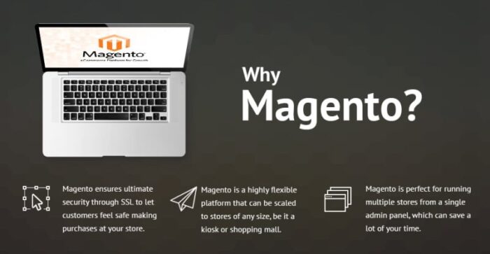 Tema ALIKX Magento - Fitur Gambar 1