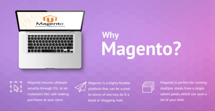 Tema Magento Kinder - Fitur Gambar 1