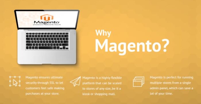 Tema Magento Animally - Fitur Gambar 1