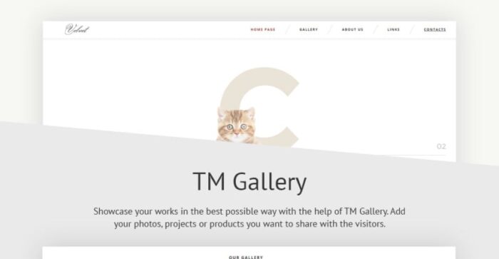 Template Situs Web Responsif Kucing - Fitur Gambar 4