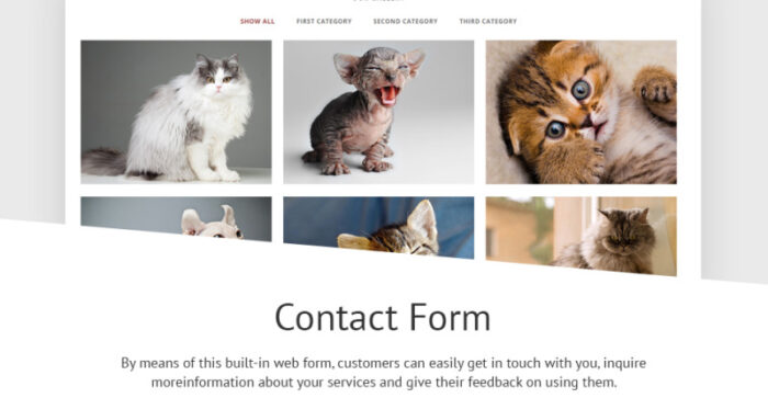 Template Situs Web Responsif Kucing - Fitur Gambar 5