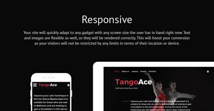 TangoAce - Template Situs Web Studio Tari - Fitur Gambar 1