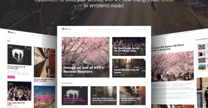 BitNews - Tema WordPress Blog Majalah & Portal Berita - Fitur Gambar 2