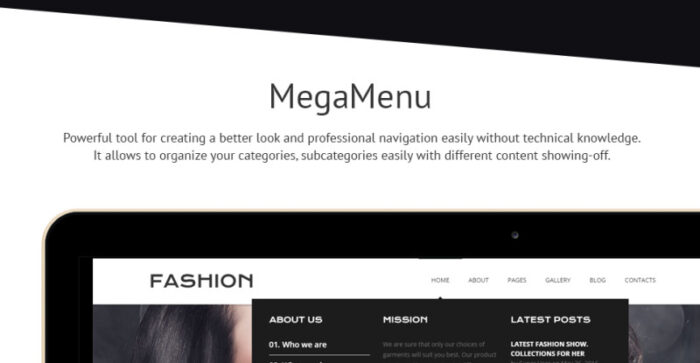 Template Joomla Fashion Online - Fitur Gambar 2