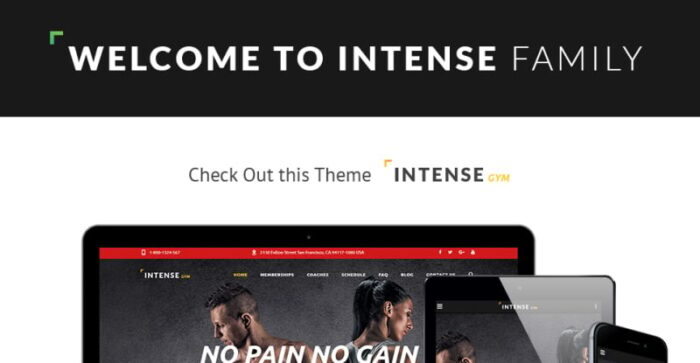 Template Situs Web Intense Gym - Fitur Gambar 1