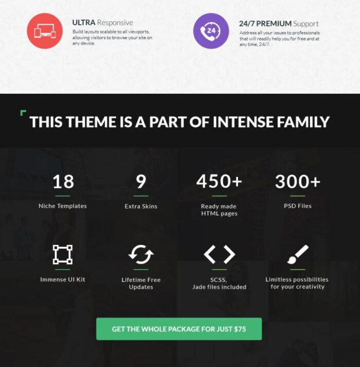 Template Situs Web Blog INTENSE - Fitur Gambar 4