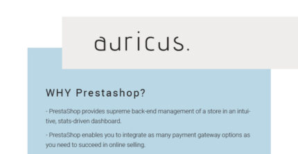 Auricus - Tema PrestaShop Responsif Tas Tangan - Fitur Gambar 1