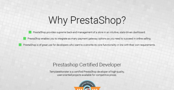 Tema PrestaShop Chip Modern - Fitur Gambar 1