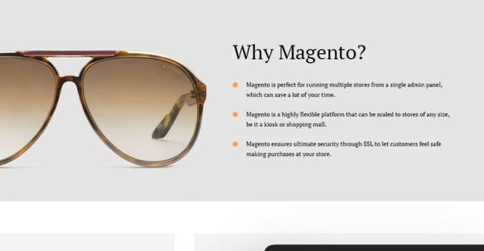 Tema Glassini Magento - Fitur Gambar 1