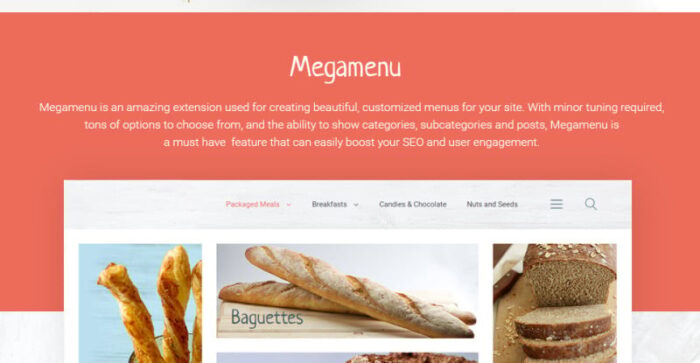 Tema Magento Monifee - Fitur Gambar 3