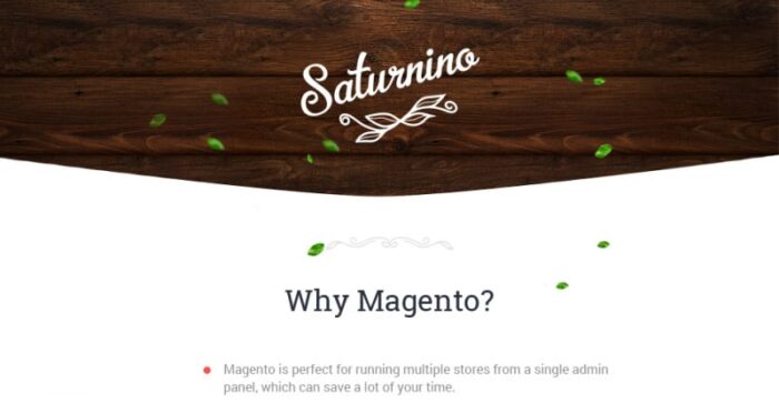 Saturnino - Tema Magento Responsif Pizza - Fitur Gambar 1