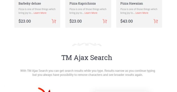 Saturnino - Tema Magento Responsif Pizza - Fitur Gambar 8