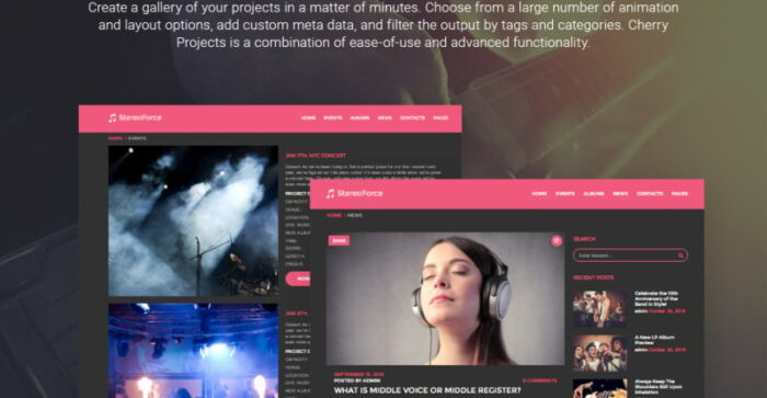 Tema WordPress Responsif Musik - Fitur Gambar 4