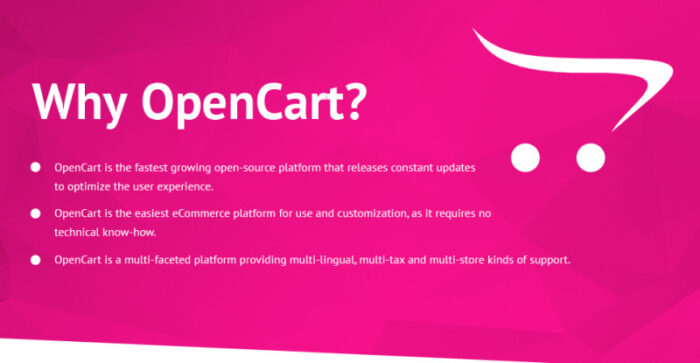 Paltirea - Template OpenCart Responsif Lingerie - Fitur Gambar 1