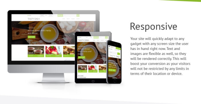 Template OpenCart Tasty Dish - Fitur Gambar 2