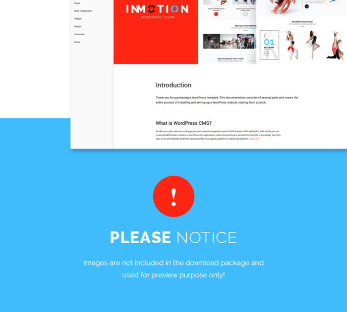 InMotion - Tema WordPress Sekolah Tari - Fitur Gambar 28