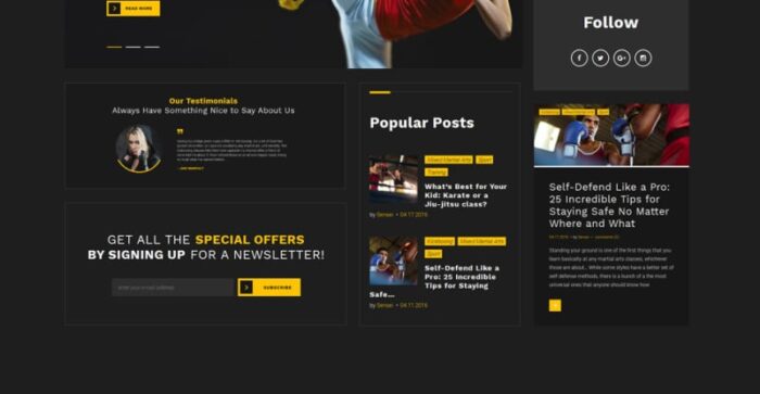 Sensei - Tema WordPress Seni Bela Diri - Fitur Gambar 15