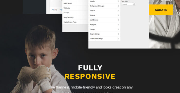 Sensei - Tema WordPress Seni Bela Diri - Fitur Gambar 18