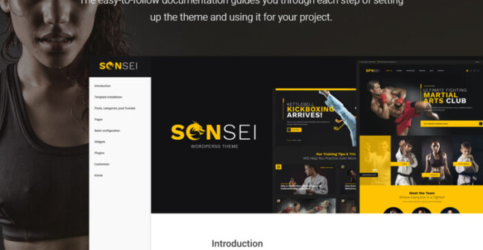 Sensei - Tema WordPress Seni Bela Diri - Fitur Gambar 27