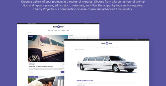 BookaRide - Tema WordPress Layanan Penyewaan Mobil Limusin - Fitur Gambar 4