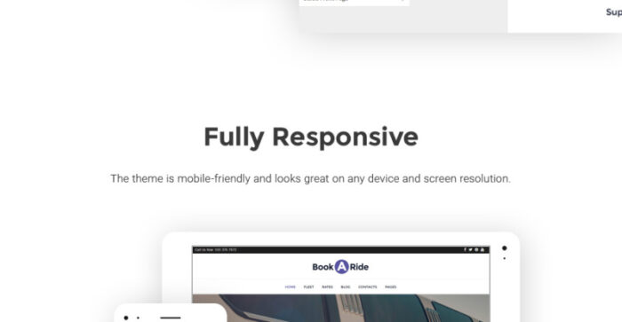 BookaRide - Tema WordPress Layanan Penyewaan Mobil Limusin - Fitur Gambar 20