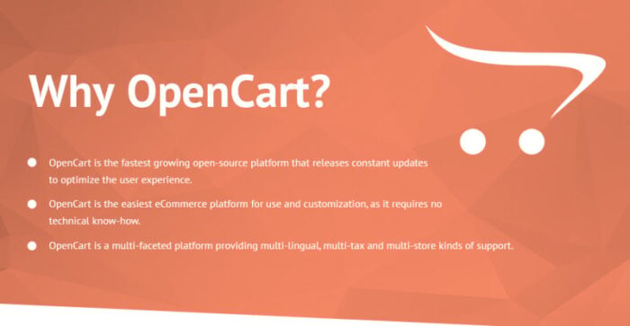 Template OpenCart Cosmetorix - Fitur Gambar 1