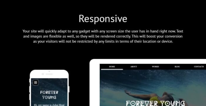 Template Situs Web Responsif Videografer - Fitur Gambar 1