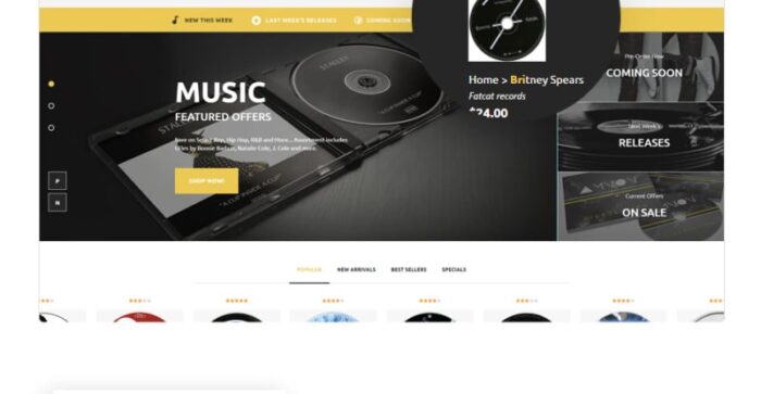 Melodyer - Tema PrestaShop Responsif Toko Audio - Fitur Gambar 11