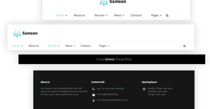 Template Situs Web Samson - Fitur Gambar 7