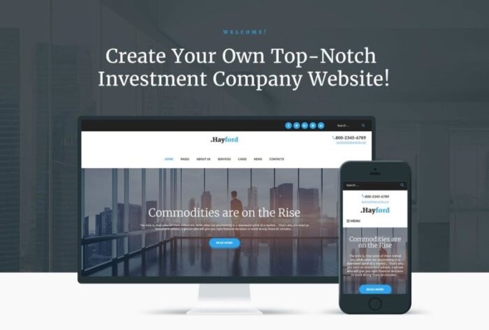 Hayford - Tema WordPress Responsif Layanan Konsultasi Investasi - Fitur Gambar 1