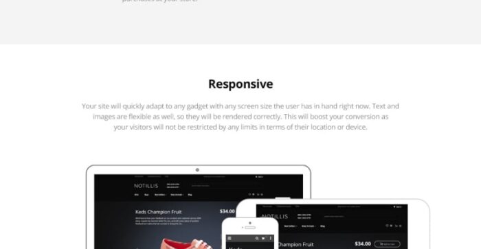 Notillis - Tema Magento Responsif Toko Sepatu - Fitur Gambar 2