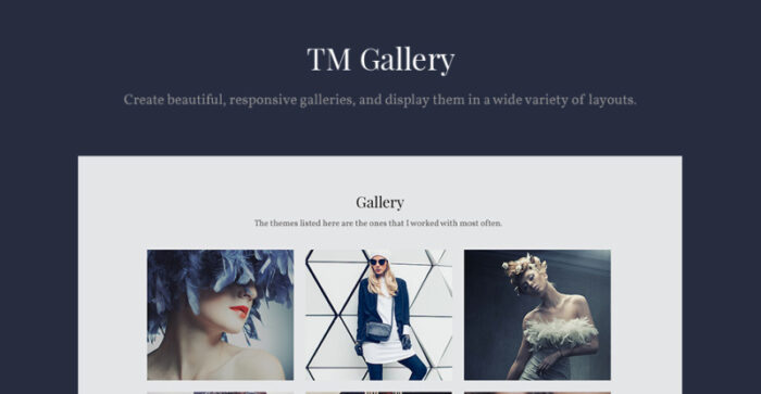 Ida - Tema WordPress Portofolio Foto Model - Fitur Gambar 7