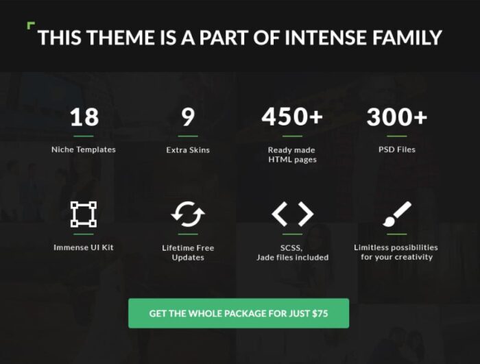 Intense Startup - Template Halaman Arahan HTML Modern Bisnis - Fitur Gambar 1