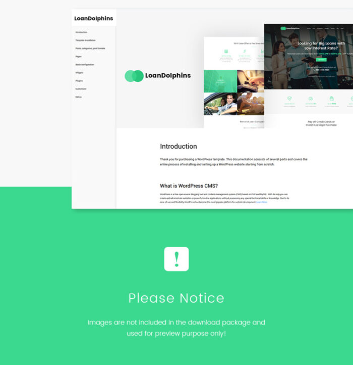 Loan Dolphins - Tema WordPress Satu Halaman Perusahaan Pinjaman - Fitur Gambar 26