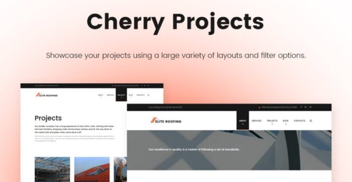 Tema WordPress Elite Roofing Company - Fitur Gambar 8
