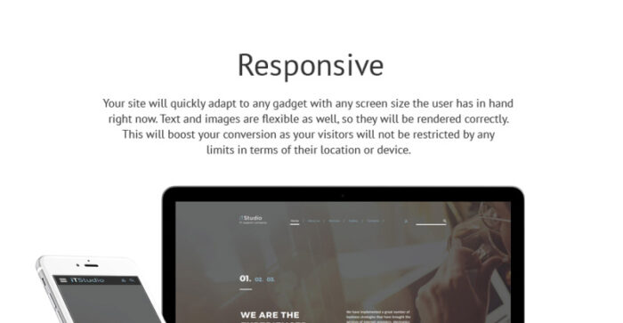 iTStudio - Template Situs Web Responsif Perusahaan Dukungan TI - Fitur Gambar 1