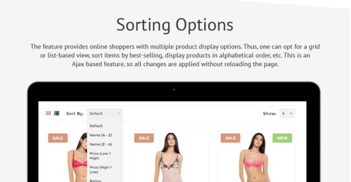 Silk & Soft - Template OpenCart Toko Online Pakaian Dalam & Lingerie - Fitur Gambar 7