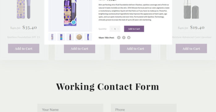 Template Situs Web Responsif Penata Rias & Kosmetik - Fitur Gambar 10