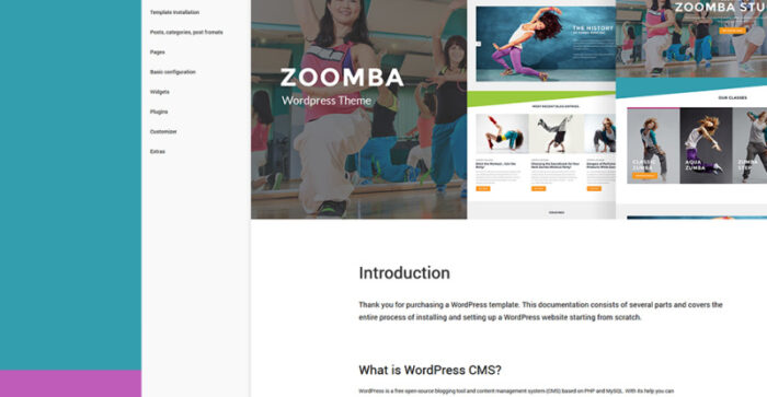 Zoomba - Tema WordPress Studio Tari Zoomba - Fitur Gambar 28