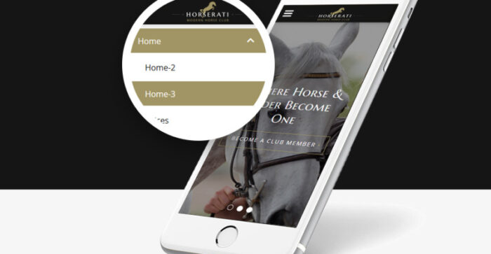 Horserati - Template Situs Web Multihalaman Klub Kuda - Fitur Gambar 9